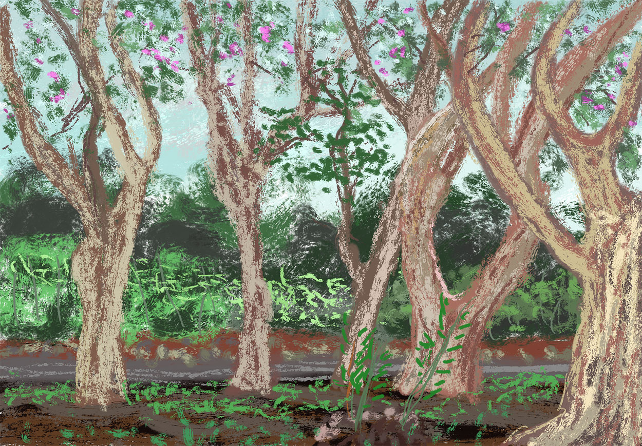 j20251011-3.jpg